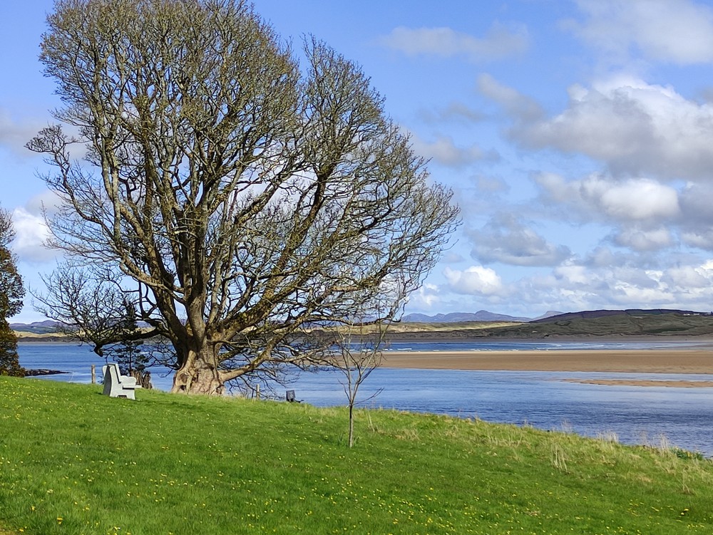 Ards Firary