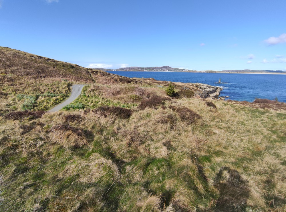 Ards Firary
