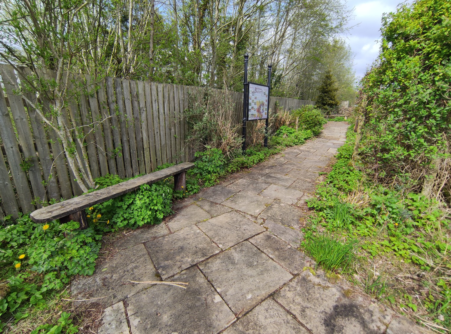 Letterkenny Butterfly Garden