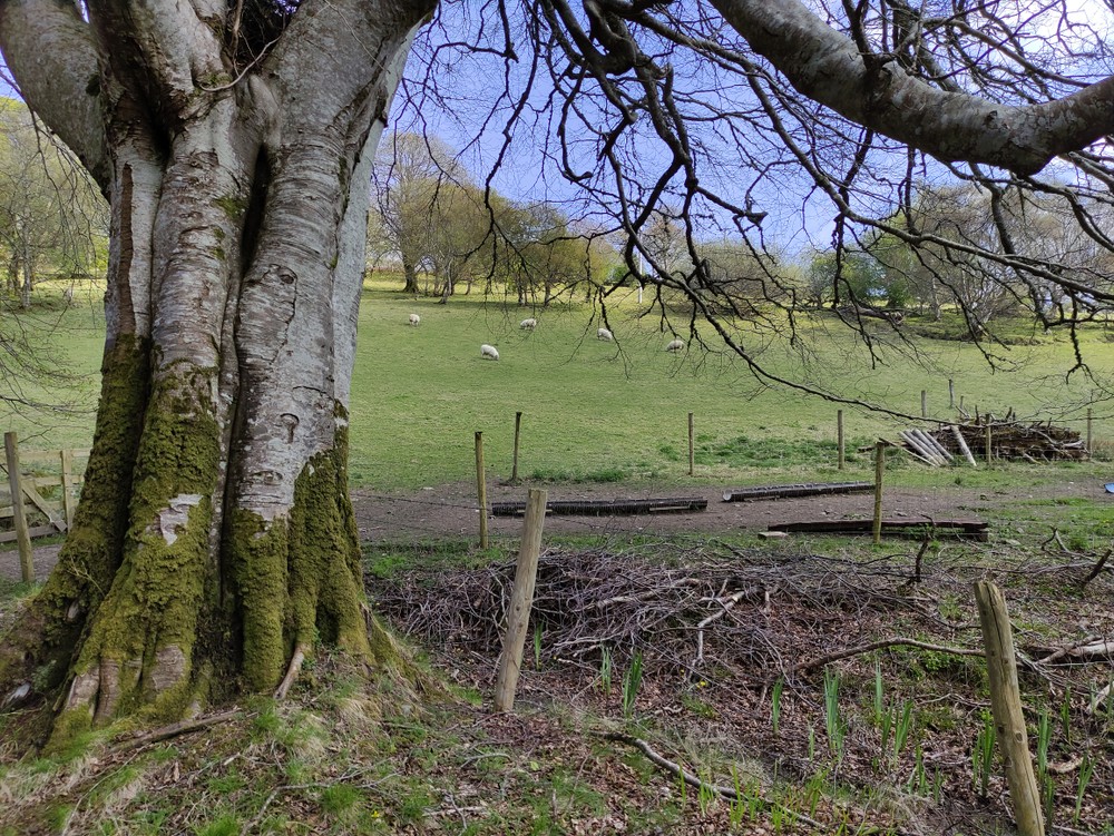 Gartan Lough walk