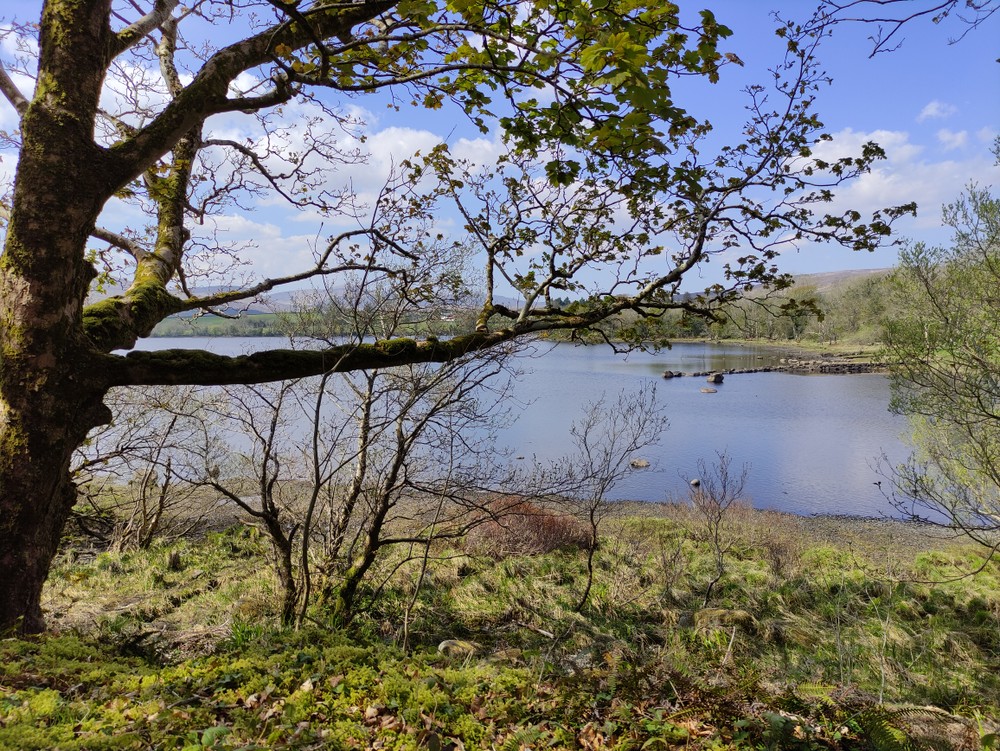 Gartan Lough walk