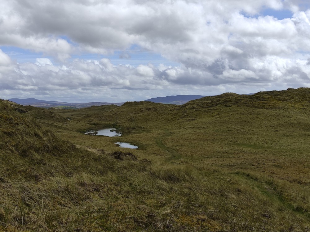 Sheskinmore nature reserve