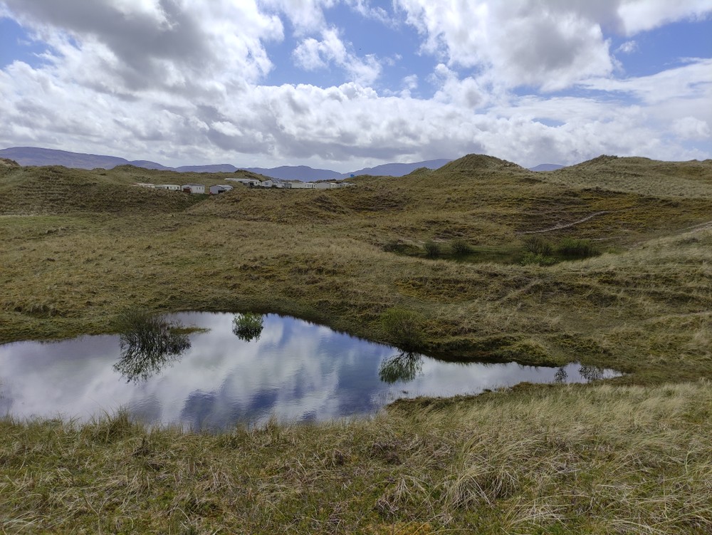 Sheskinmore nature reserve