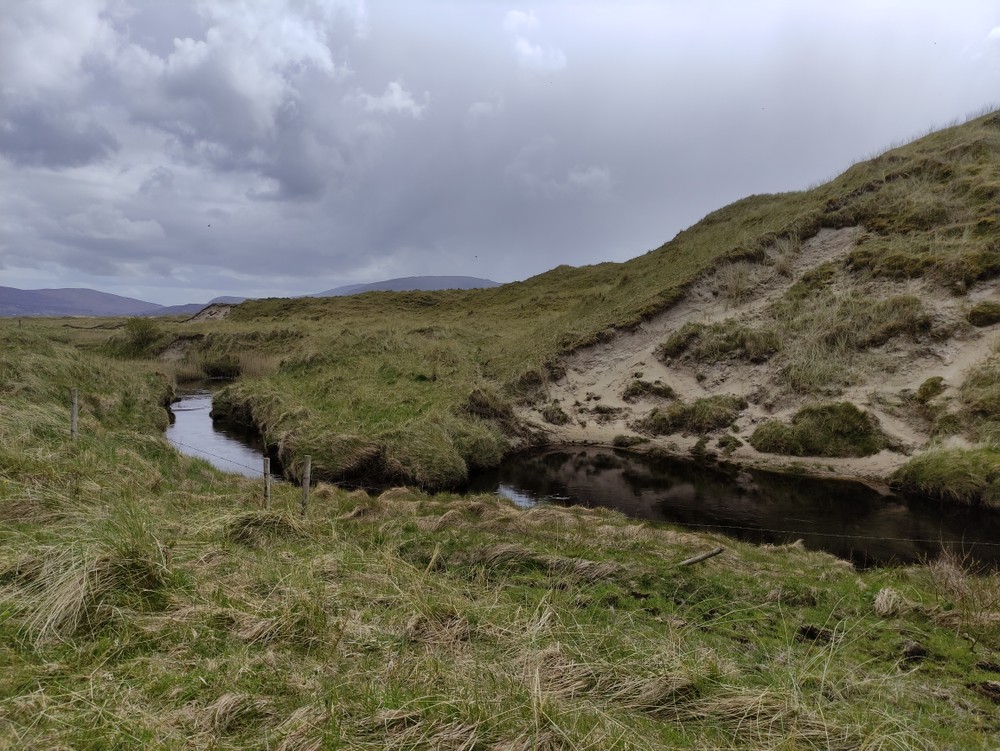 Sheskinmore nature reserve