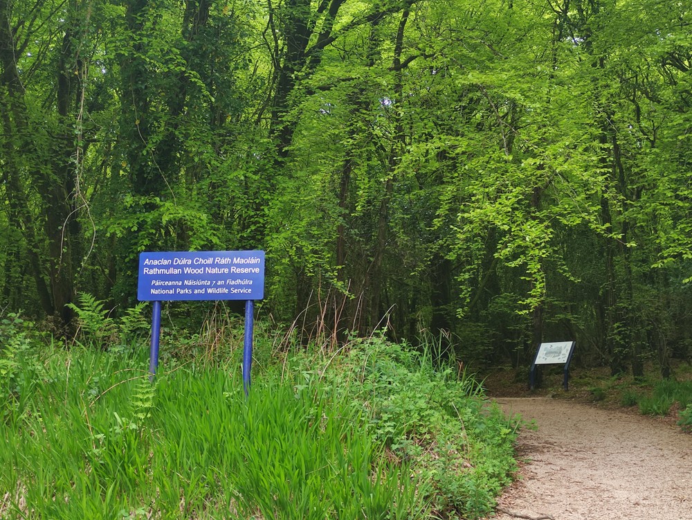 Rathmullan Wood Nature Reserve