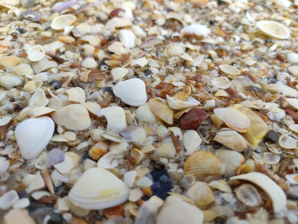 Kinnegar beach