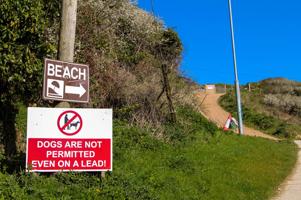 a sign on a pole