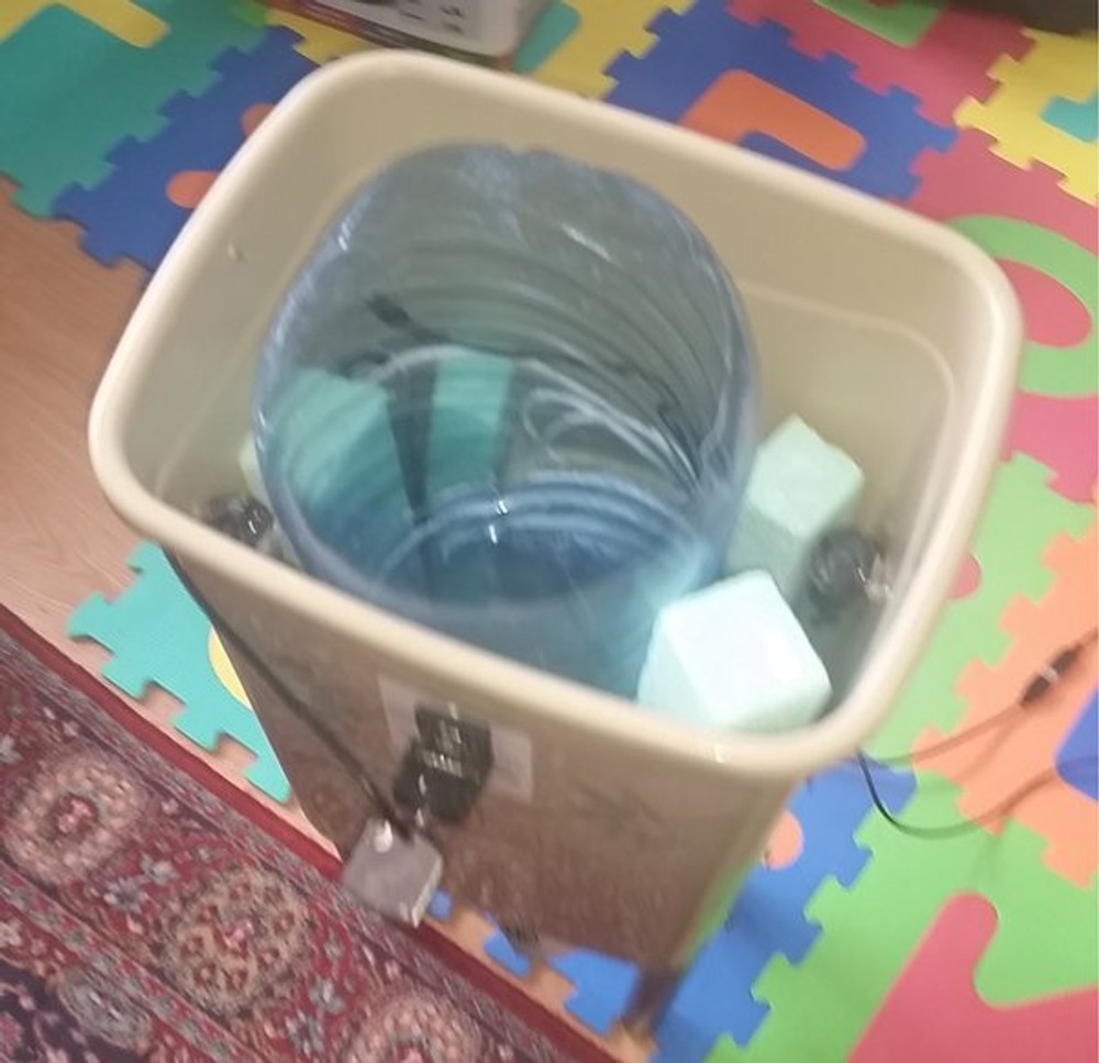 IoT cat feeder device