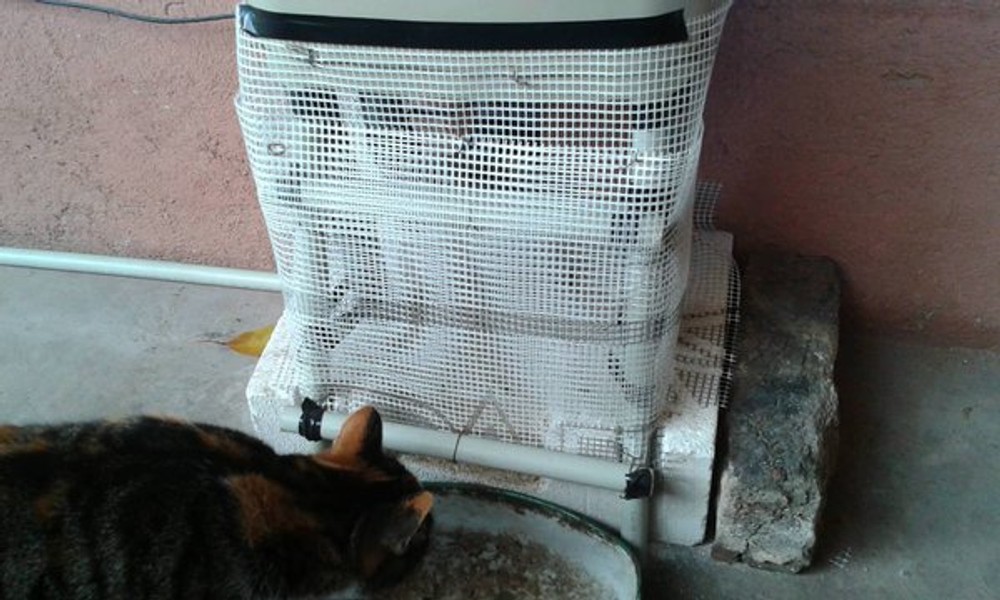 IoT cat feeder device