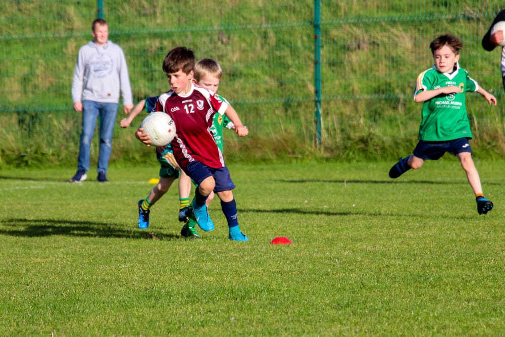 Letterkenny Gaels GAA club.
